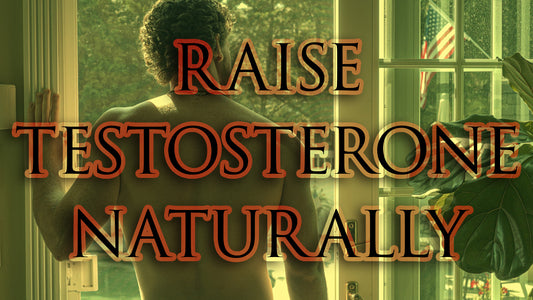 Full Guide to Raising Your Testosterone